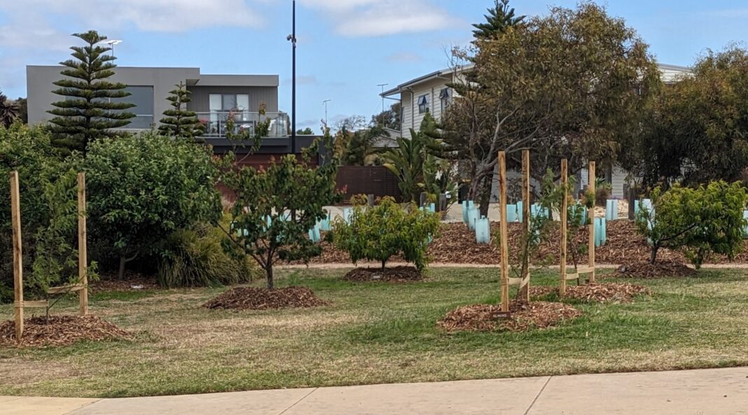 Quay Reserve Community Orchard (post irrigation project)