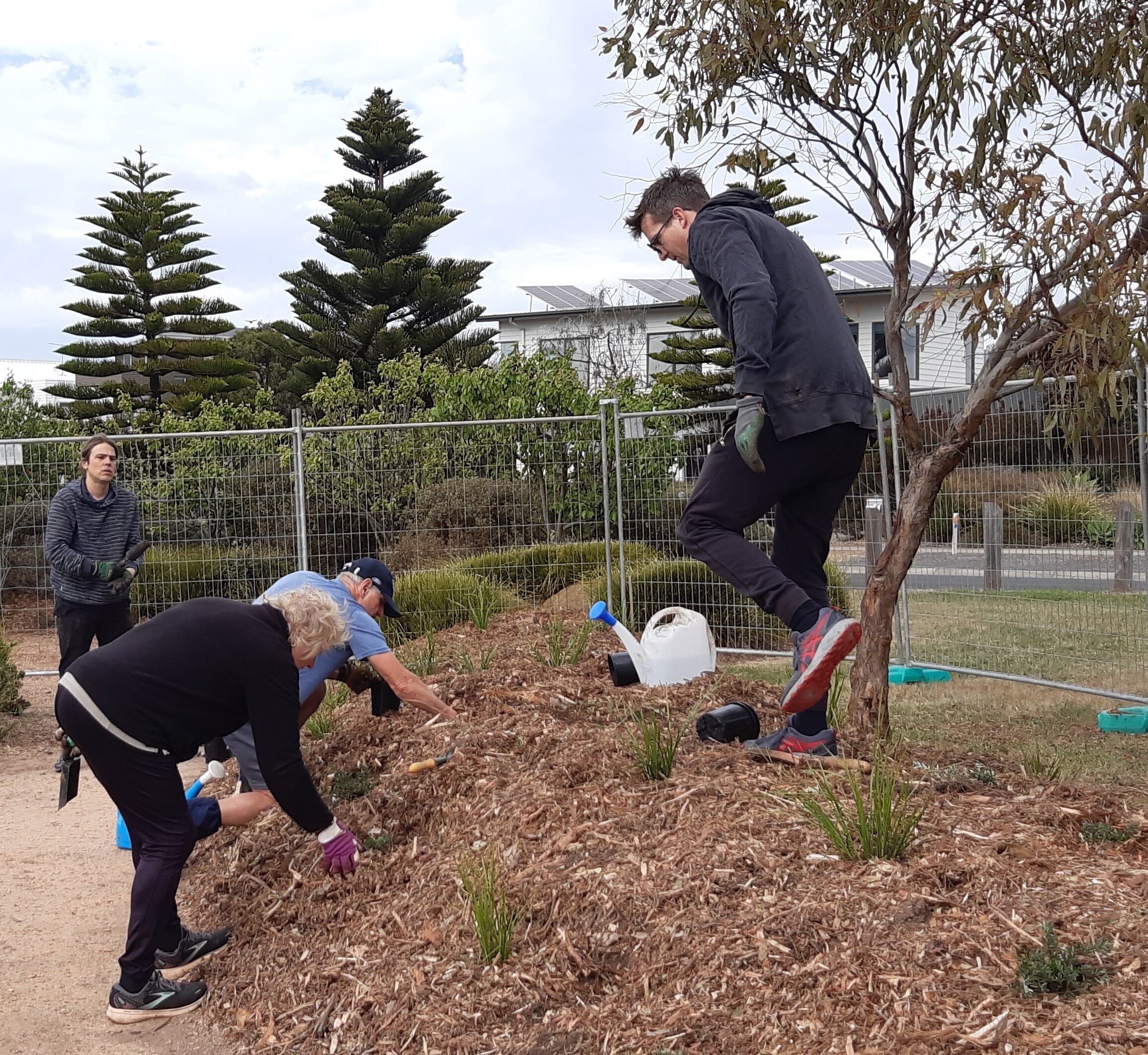 Quay Reserve Community Orchard (post irrigation working bee)