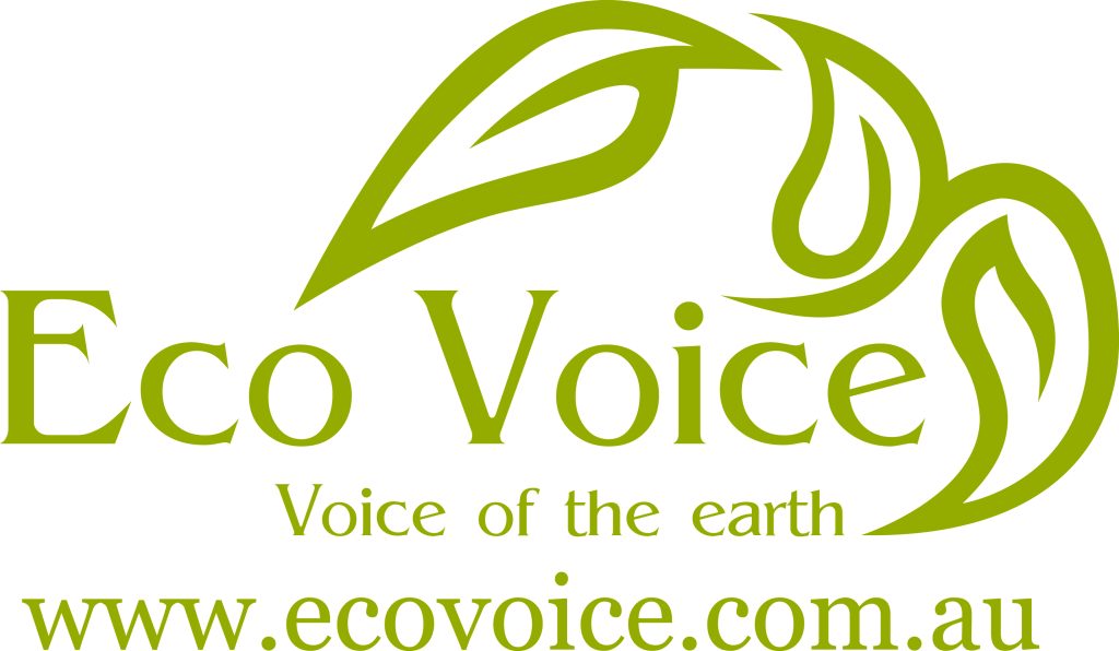 Eco Voice logo small 9